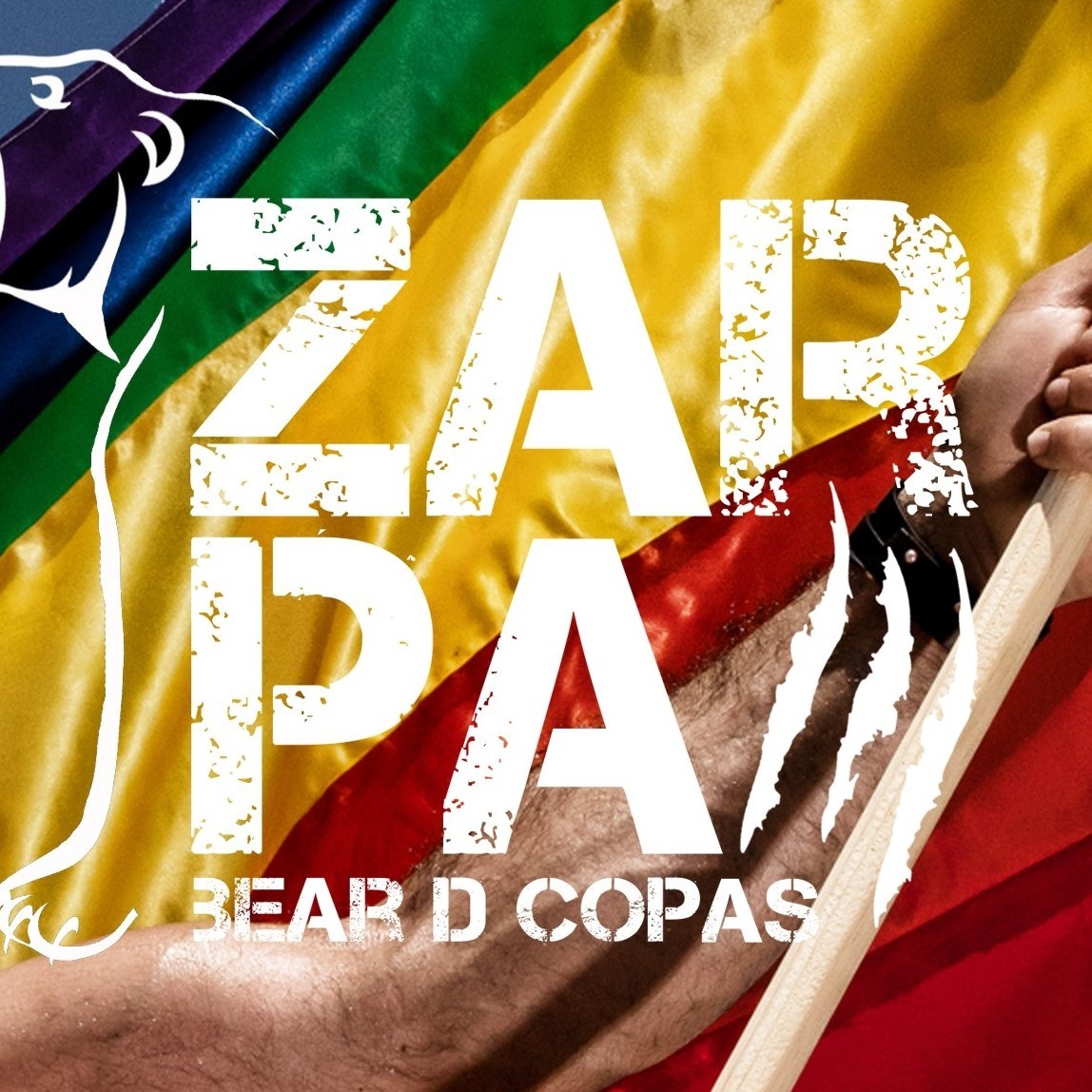 Zarpa bears de copas