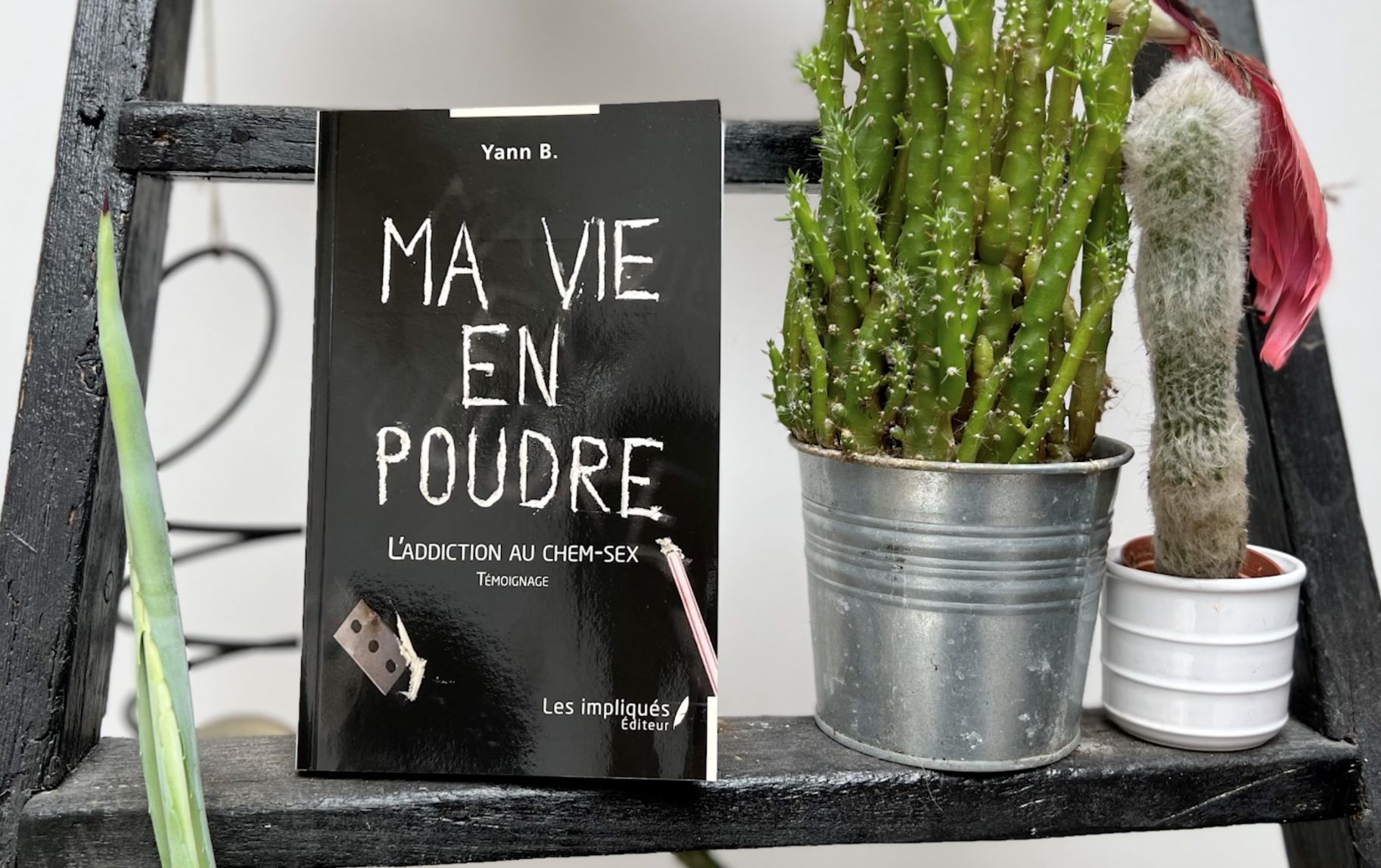 Ma vie en poudre